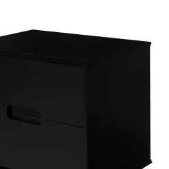 Midnight Black Wood 2-Drawer Modern Nightstand