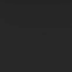 Midnight Black Wood 2-Drawer Modern Nightstand