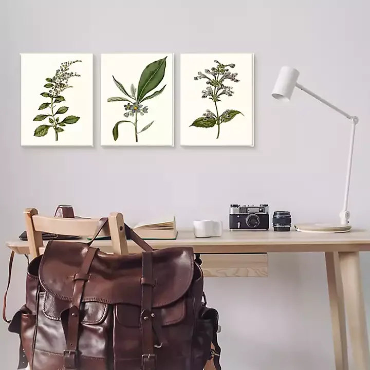 Minimal Soft Flowers Framed Art Prints, Set of 3