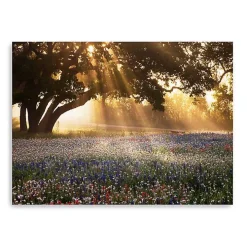 Morning Meadow Giclee Canvas Art Print, 48x36 in.