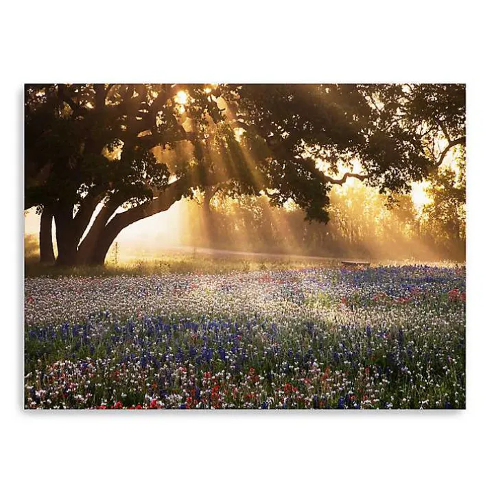 Morning Meadow Giclee Canvas Art Print, 48x36 in.