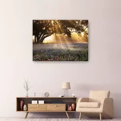 Morning Meadow Giclee Canvas Art Print, 48x36 in.