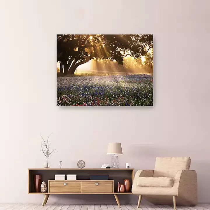 Morning Meadow Giclee Canvas Art Print, 48x36 in.