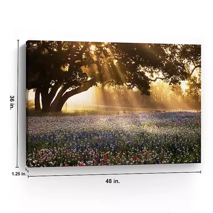 Morning Meadow Giclee Canvas Art Print, 48x36 in.