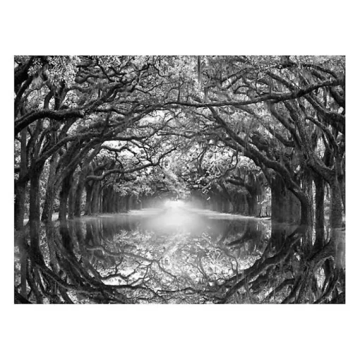 Oak Alley Reflection Giclee Canvas Art Print