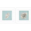 Ocean Seashells I Framed Art Prints, Set of 2