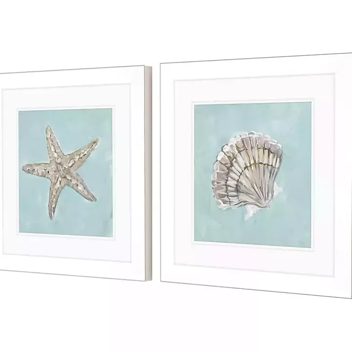 Ocean Seashells II Framed Art Prints, Set of 2