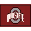 Ohio State University Area Rug, 4x6