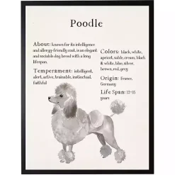 Poodle Facts Framed Wall Plaque