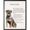 Rottweiler Facts Framed Wall Plaque
