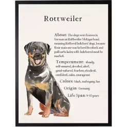 Rottweiler Facts Framed Wall Plaque