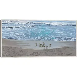 Sandpiper Morning Framed Canvas Art Print