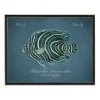 Semicircle Angelfish Framed Wall Art