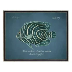 Semicircle Angelfish Framed Wall Art