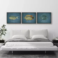 Semicircle Angelfish Framed Wall Art