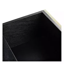 Serena 2-Drawer Black Console Table