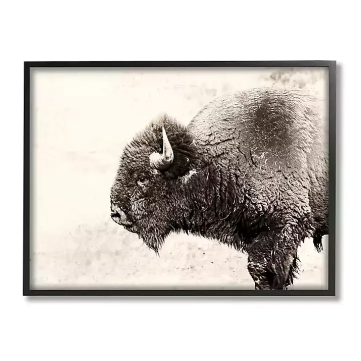 Shaggy Buffalo Black Framed Canvas Art Print