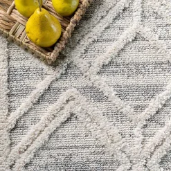 Shaggy Lattice Tassel Ansley Area Rug, 5x7