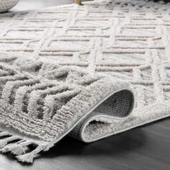 Shaggy Lattice Tassel Ansley Area Rug, 5x7