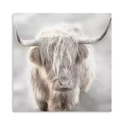 Soft Solo Highland Giclee Canvas Art Print