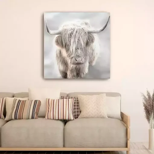 Solo Highland Cow Canvas Art Print, 40x40