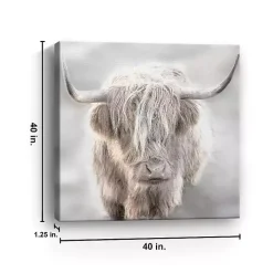 Solo Highland Cow Canvas Art Print, 40x40