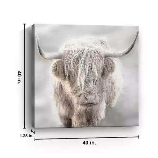 Solo Highland Cow Canvas Art Print, 40x40