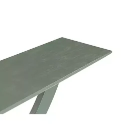 Spanish Moss Ramus Console Table