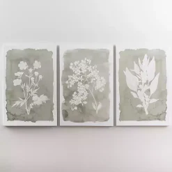 Springtime Bloom II Canvas Art Print