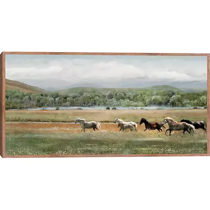 Summer Herd Framed Canvas Art Print