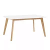 Two-Tone Mid-Century Modern Wood Dining Table
