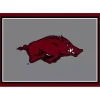 University of Arkansas Area Rug, 4x6