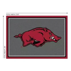 University of Arkansas Area Rug, 3x4