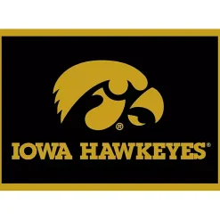 University of Iowa Area Rug, 4x6