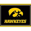 University of Iowa Area Rug, 3x4