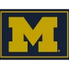 University of Michigan Area Rug, 4x6