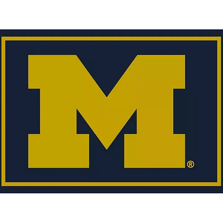 University of Michigan Area Rug, 4x6