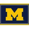 University of Michigan Area Rug, 3x4