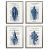 Vintage Blue Shells Framed Art Prints, Set of 4