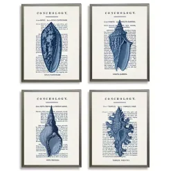 Vintage Blue Shells Framed Art Prints, Set of 4