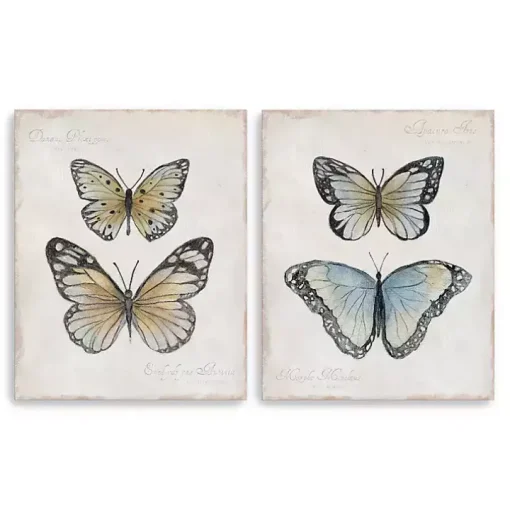Vintage Butterflies Canvas Art Prints, Set of 2