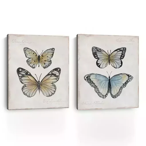Vintage Butterflies Canvas Art Prints, Set of 2