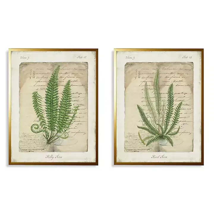 Vintage Green Ferns Framed Art Prints, Set of 2