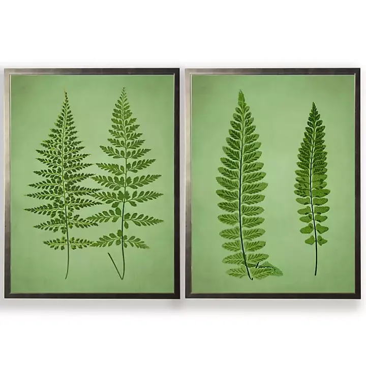 Vintage Green Ferns I Framed Art Prints, Set of 2