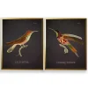 Vintage Hummingbird III 2-pc. Framed Art Print Set