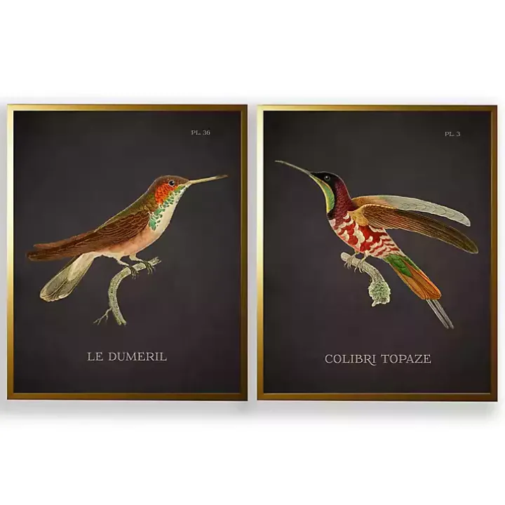 Vintage Hummingbird III 2-pc. Framed Art Print Set