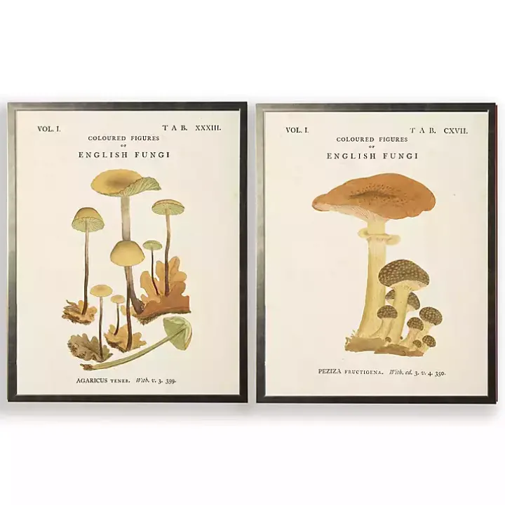 Vintage Mushrooms II Framed Art Prints, Set of 2
