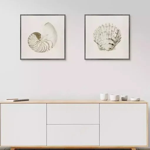 Vintage Shells Framed Canvas Art Prints, Set of 2