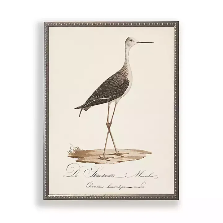 Vintage Waterbird Facing Right Framed Art Print