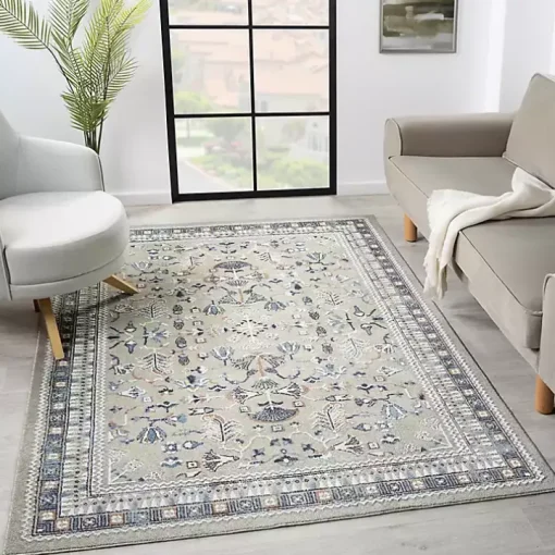 Vista Blue Beige Accent Rug, 2x3